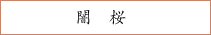 闇桜